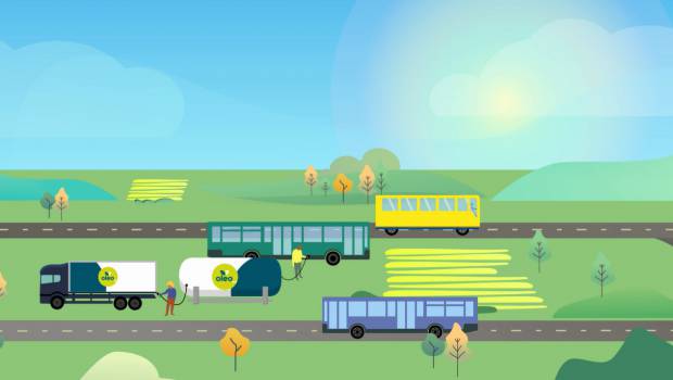 Oleo 100 : le 1er carburant 100% issu du colza