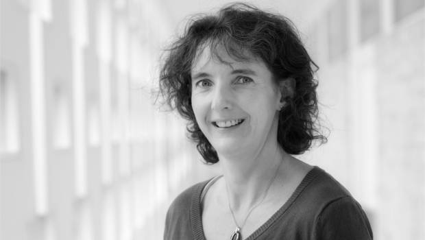 Fascicule 70 et 71 : le lifting