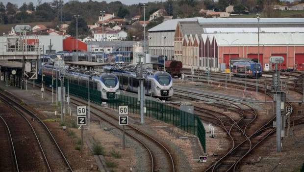 Ferrocampus : un centre d'expertise unique en Europe