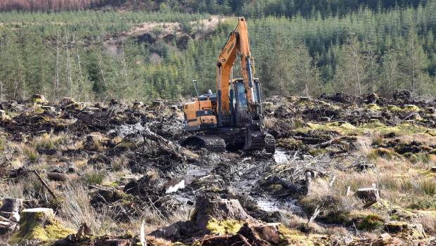 Deux pelles Hyundai prennent soin de forêts d’Ecosse
