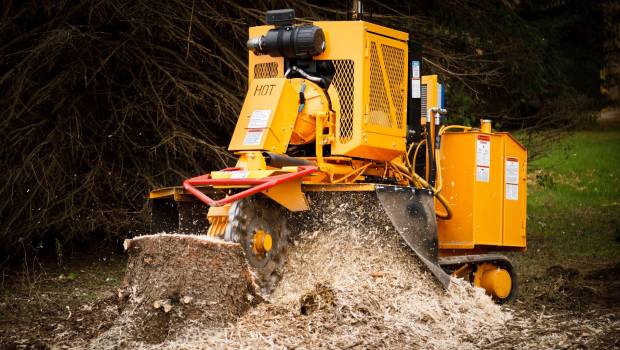 La Bandit SG-75 ne fait pas de quartier pour les souches !