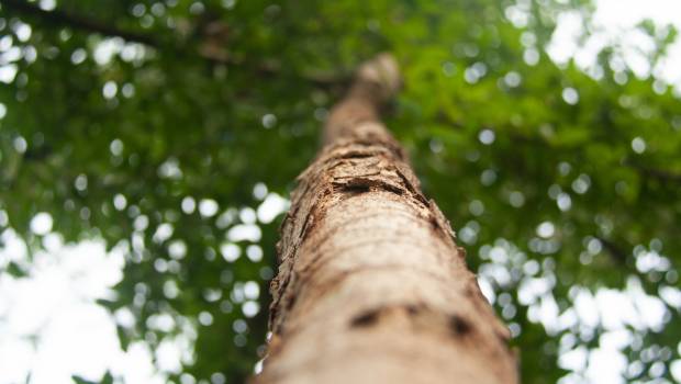 Horizon 2050 : atteindre la neutralité carbone dans la construction