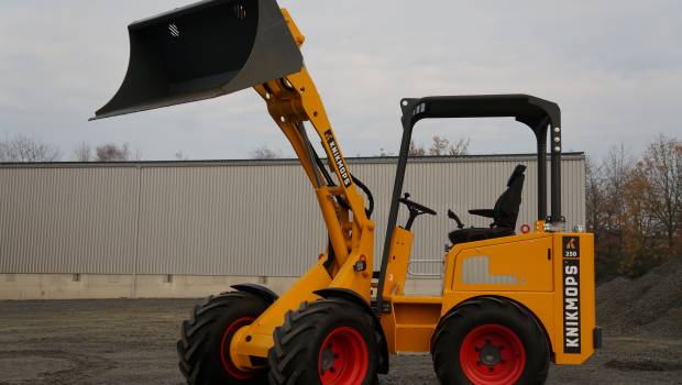 Knikmops passe au Stage V