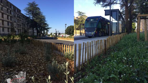 Prix IMBP 2020 : et les lauréats sont...