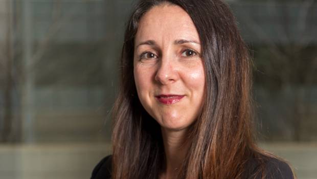 Ecologie : Ingérop se réorganise