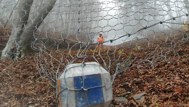 Les écrans forestiers de NGE Fondations