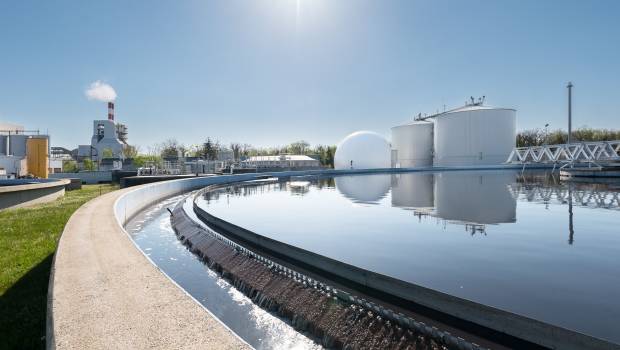 Des boues d'épuration vertes à Sausheim