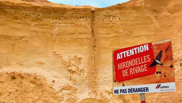 Cemex renforce son exemplarité pour ses activités bétons et granulats