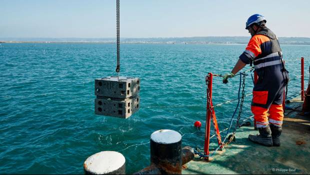 Une conférence sur le thème des infrastructures maritimes biomimétiques