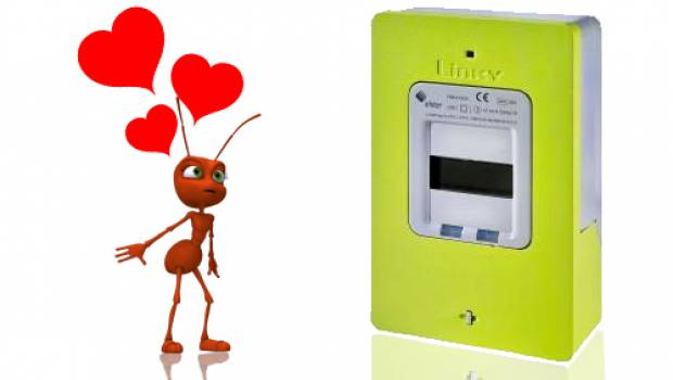 Linky et les fourmis