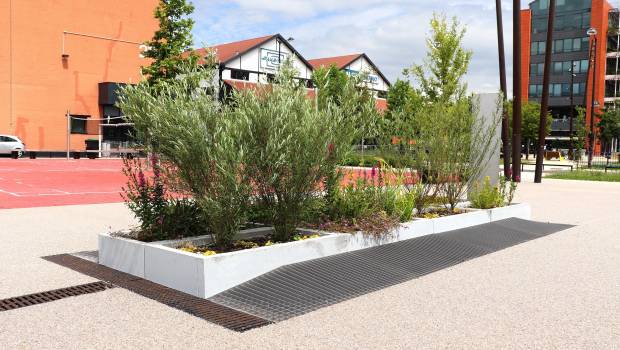 Bonna Sabla et Vertuo : un partenariat pour une nature en ville économe et durable