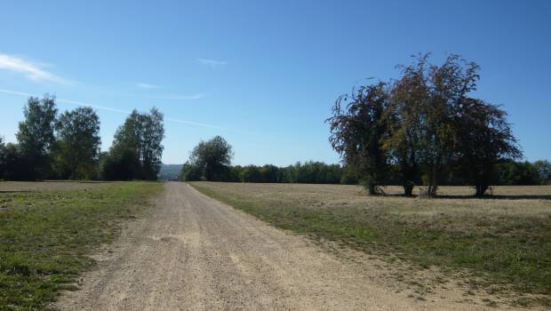 Charleville-Mézières : Plurial Novilia lance les travaux d’aménagement du « Plateau de Berthaucourt »