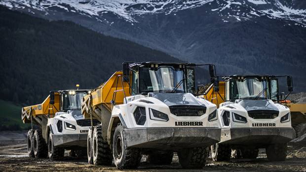 Liebherr sur les bords du lac de Resia