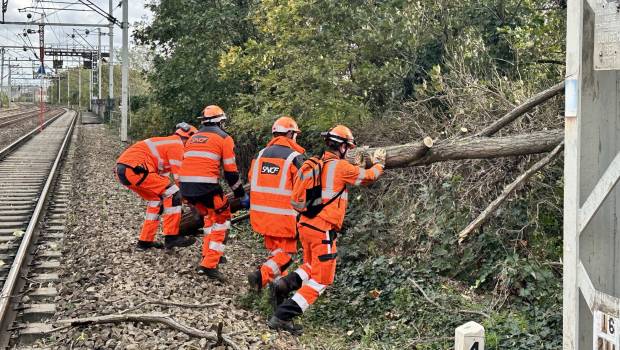 Tempête Ciaran : SNCF Réseau à pied d’œuvre