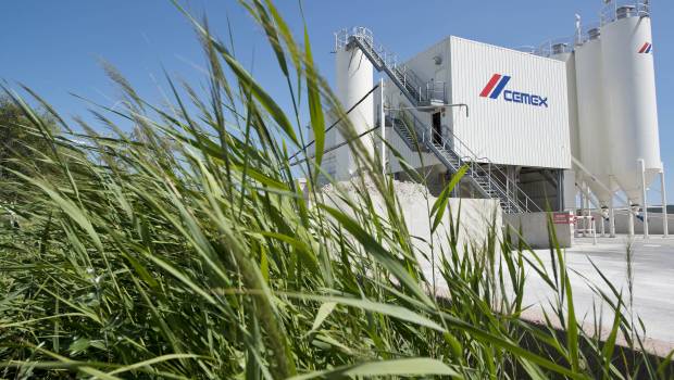 Cemex célèbre plus de 20 ans d’engagement en faveur  de la biodiversité