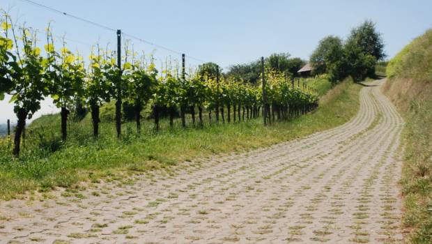Avec ses pavés autobloquants, Krominus prend soin des chemins agricoles et forestiers