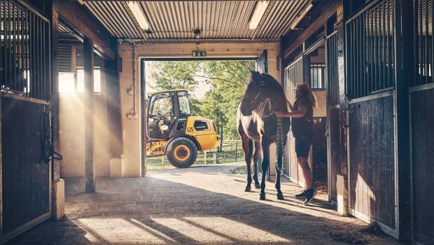 Les machines qui murmuraient à l'oreille des chevaux