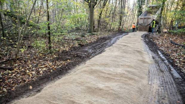 Massif forestier de Strasbourg-Neuhof / Illkirch-Graffenstaden : peeling en réserve naturelle