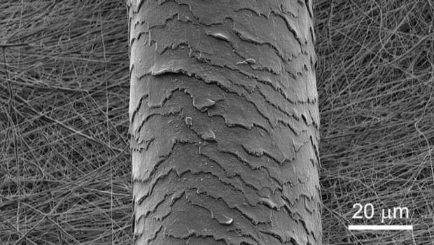 Michelin, le CNRS et l’Université de Strasbourg en quête de matériaux nanofibreux innovants