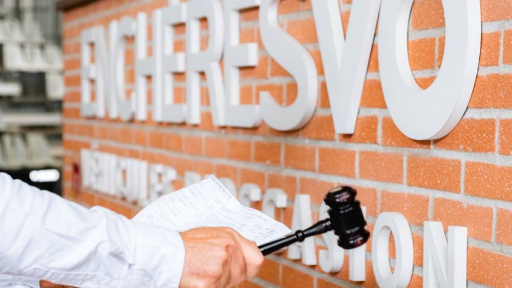 Enchères VO engrange 252 M€