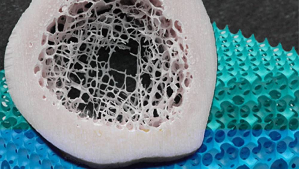 Club industriel Sekoya : les lauréats du 6e appel à solutions