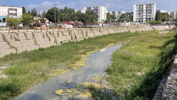 Maccaferri réaménage les berges de la Frayère à Cannes