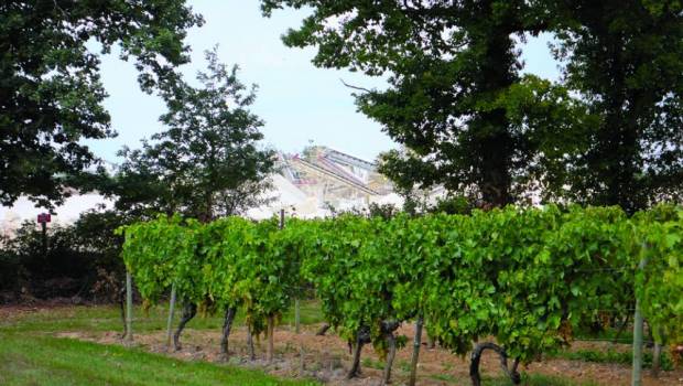 [Grand format] Un amour de terre à terre 1/6 : Le cognac du Groupe Garandeau