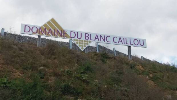 [Grand format] Un amour de terre à terre 2/6 : Le vin belge des Calcaires de la Sambre