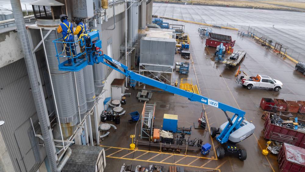 En France, Genie fait son nid