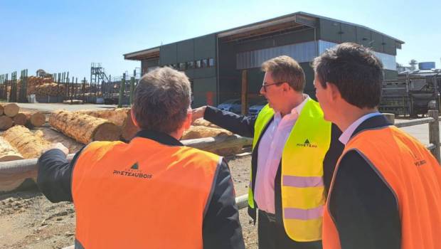 Une ombrière photovoltaïque bois 100 % locale