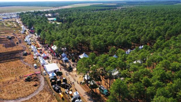 Forexpo, plus inclusif