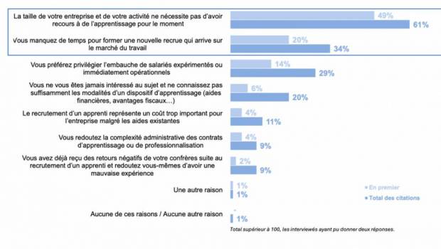De nombreuses TPE ont recours à l’apprentissage : 82% en revendique un impact positif