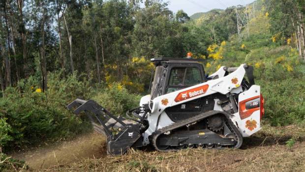 Bobcat prépare la culture des vins blancs galiciens