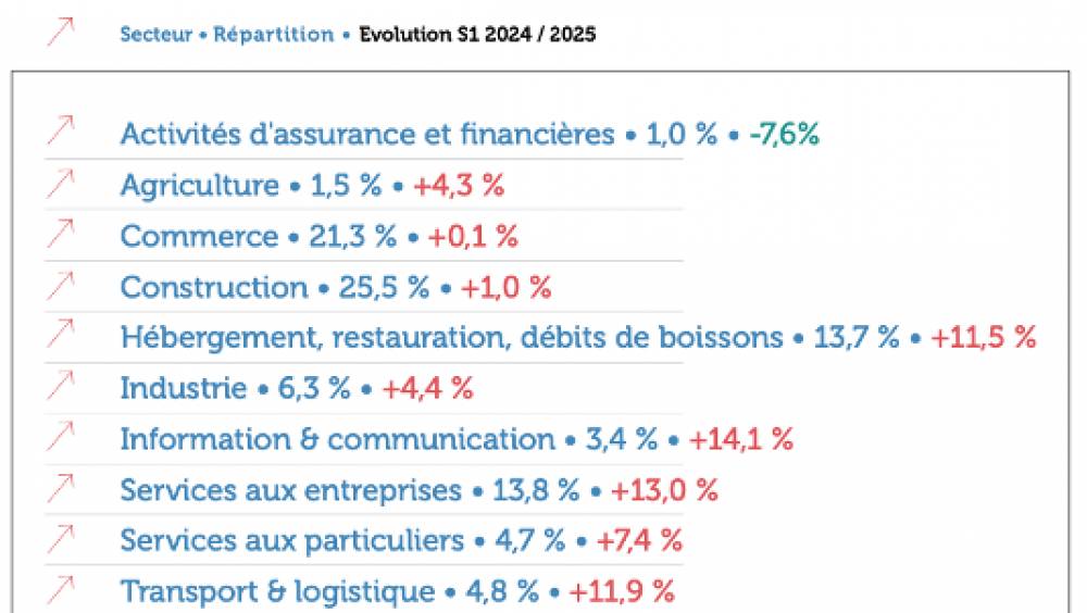 31 260 chefs d’entreprise ont perdu leur emploi au 1er semestre 2025