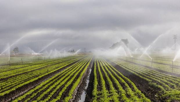 BPM Waters naît du rapprochement de TPI et Chesneau Irrigation