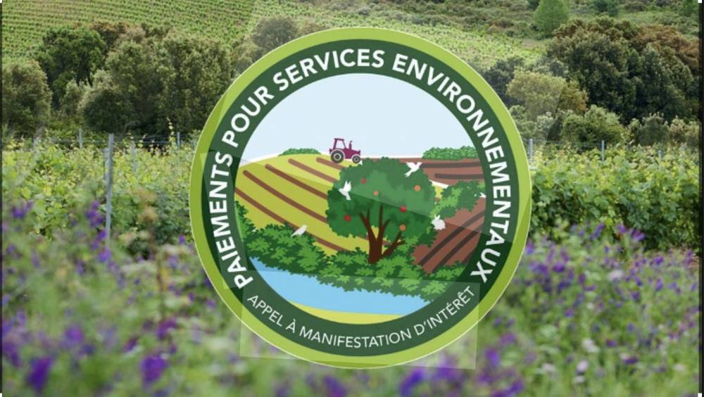 Paiements pour services environnementaux : 27 projets pour préserver l’eau et les milieux naturels