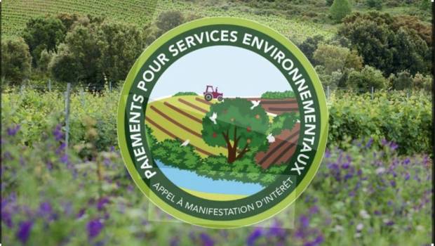 Paiements pour services environnementaux : 27 projets pour préserver l’eau et les milieux naturels