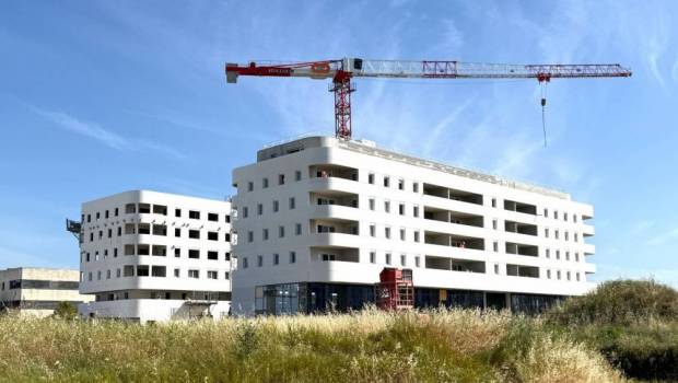Bouygues Bâtiment France innove avec la première cloison séparative à ossature bois du marché français