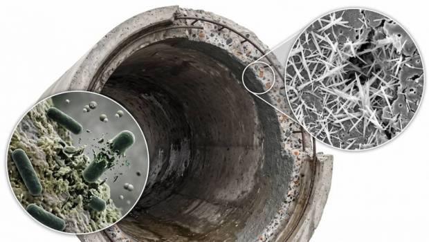 Béton intelligent : Xypex réinvente l'étanchéité par la cristallisation