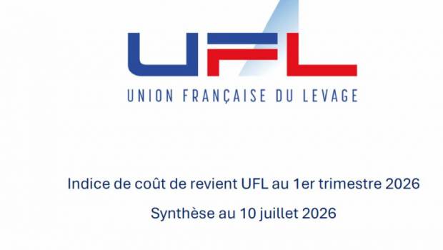Les coûts d’exploitation des grues mobiles repartent à la hausse début 2026